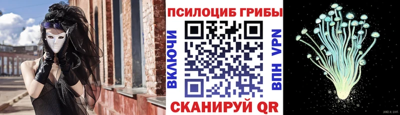 Галлюциногенные грибы MAGIC MUSHROOMS Конаково