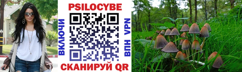 Купить  Конаково  Псилоцибиновые грибы Cubensis 